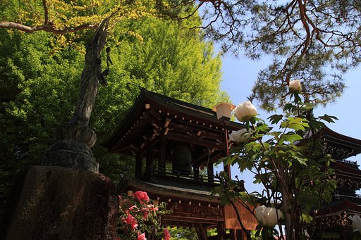国分寺の庭