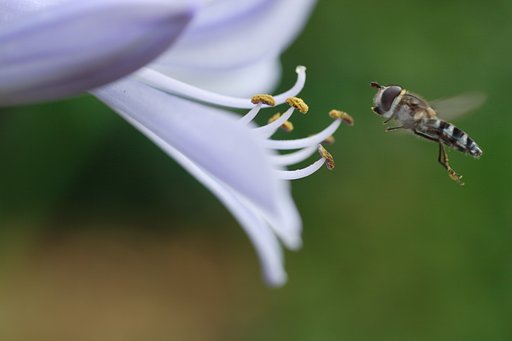 様子を見に・・・