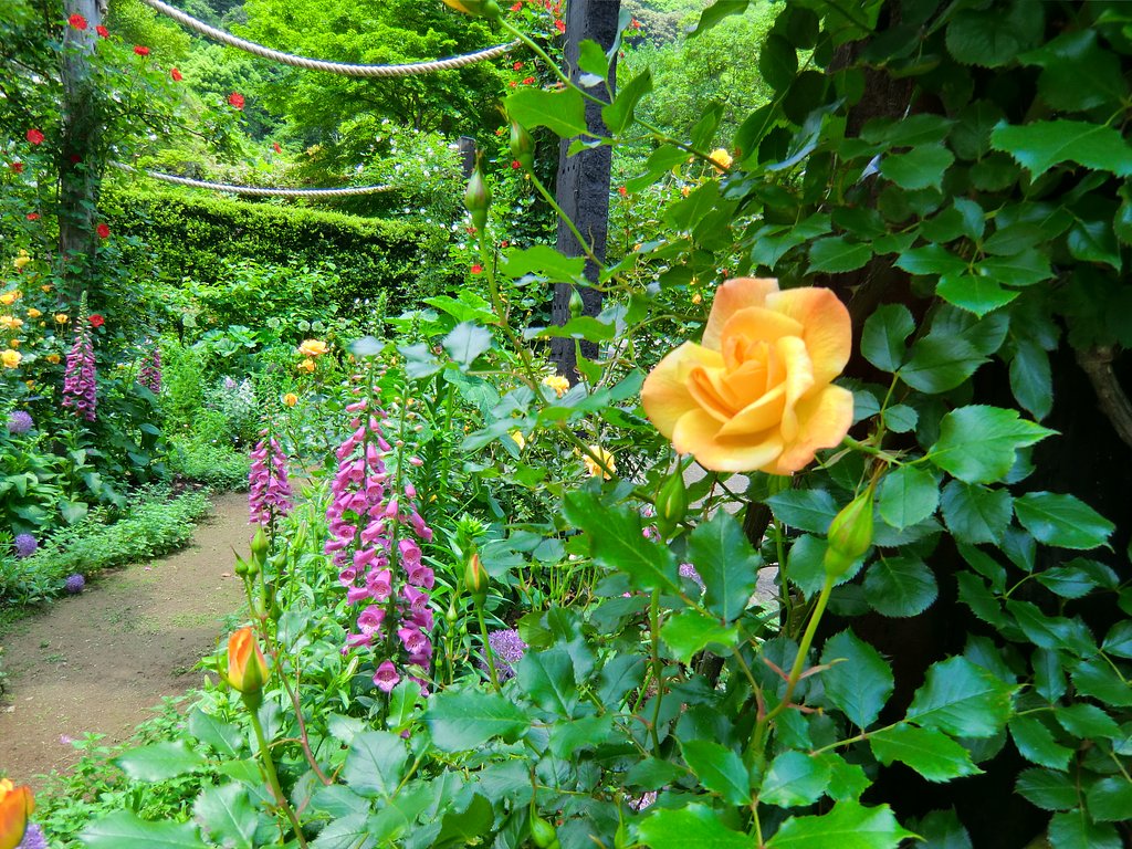 花園