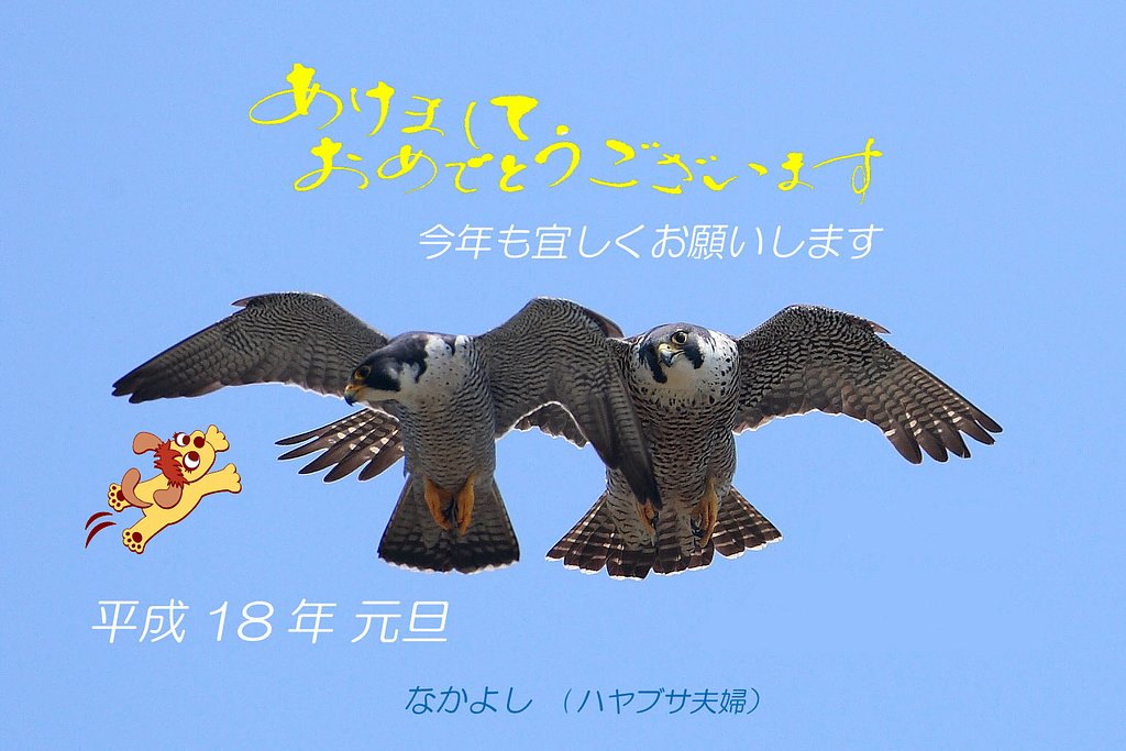 あけましておめでとうございます