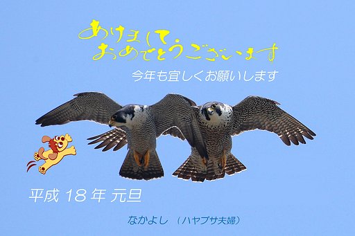 あけましておめでとうございます