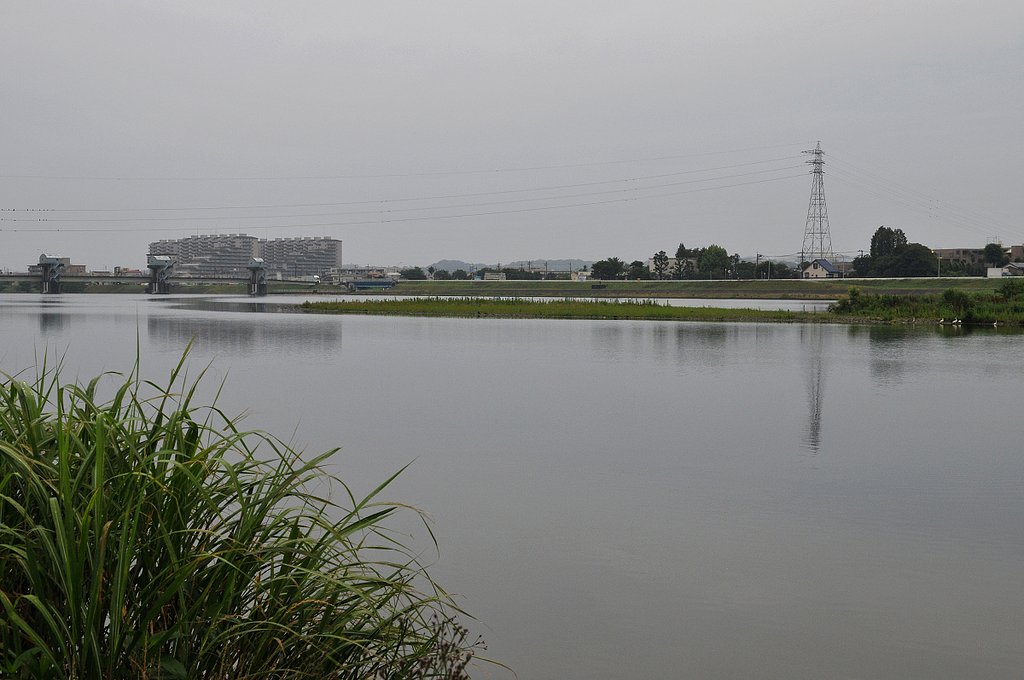 梅雨の朝２
