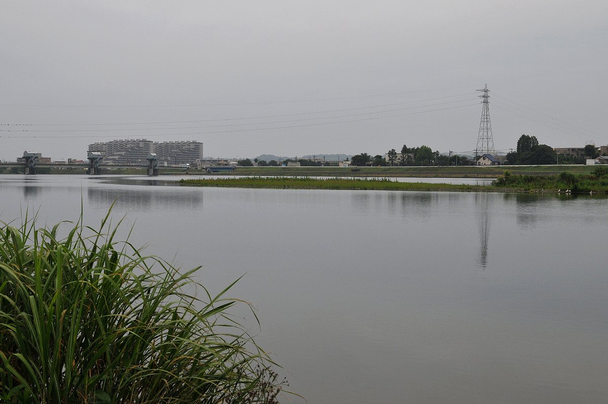 梅雨の朝２