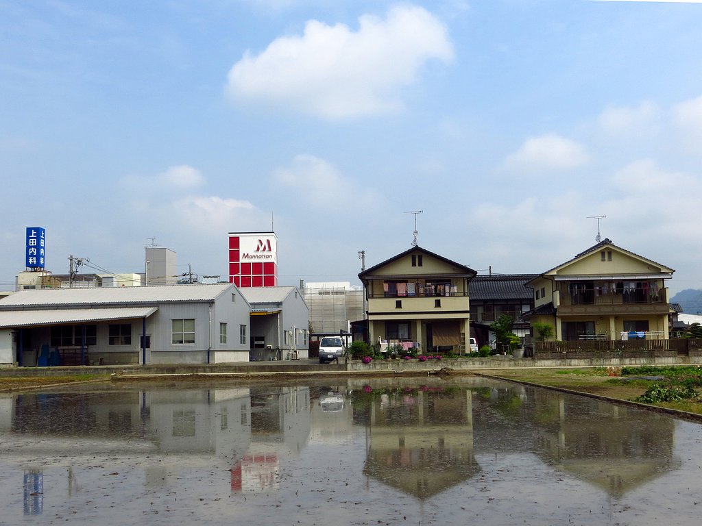 昼間は晴れたのに