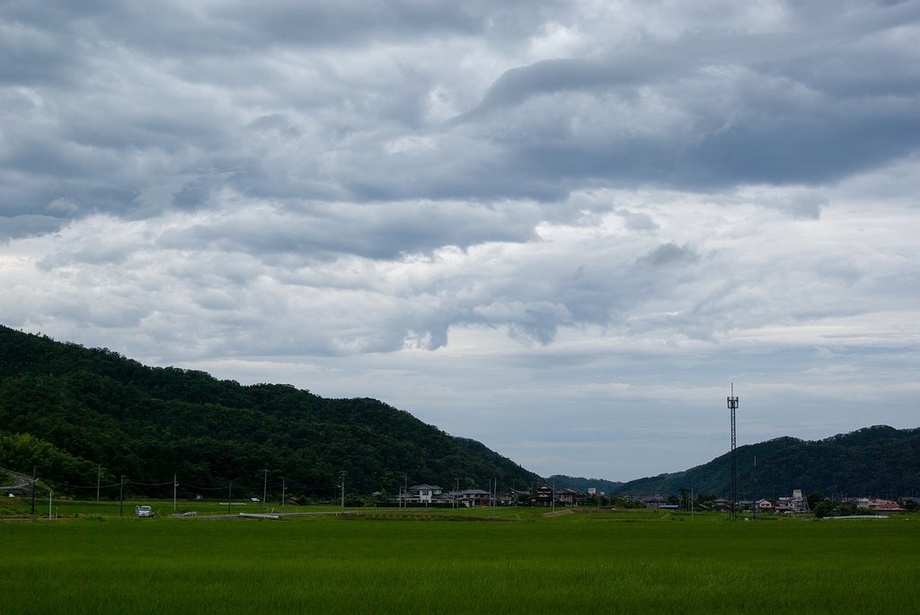 夕方に雨は止みましたが・・。