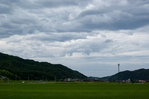 夕方に雨は止みましたが・・。