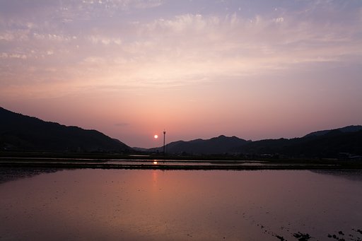 真っ赤な夕焼け。