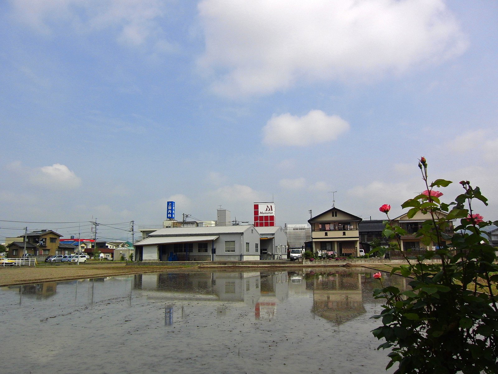 田植え前