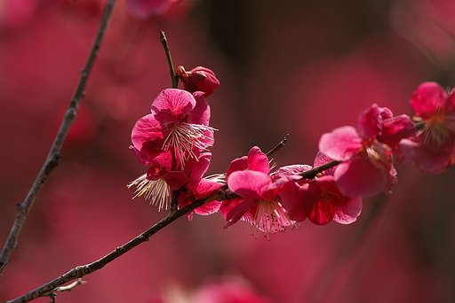 ちょっとゴチャゴチャしてます