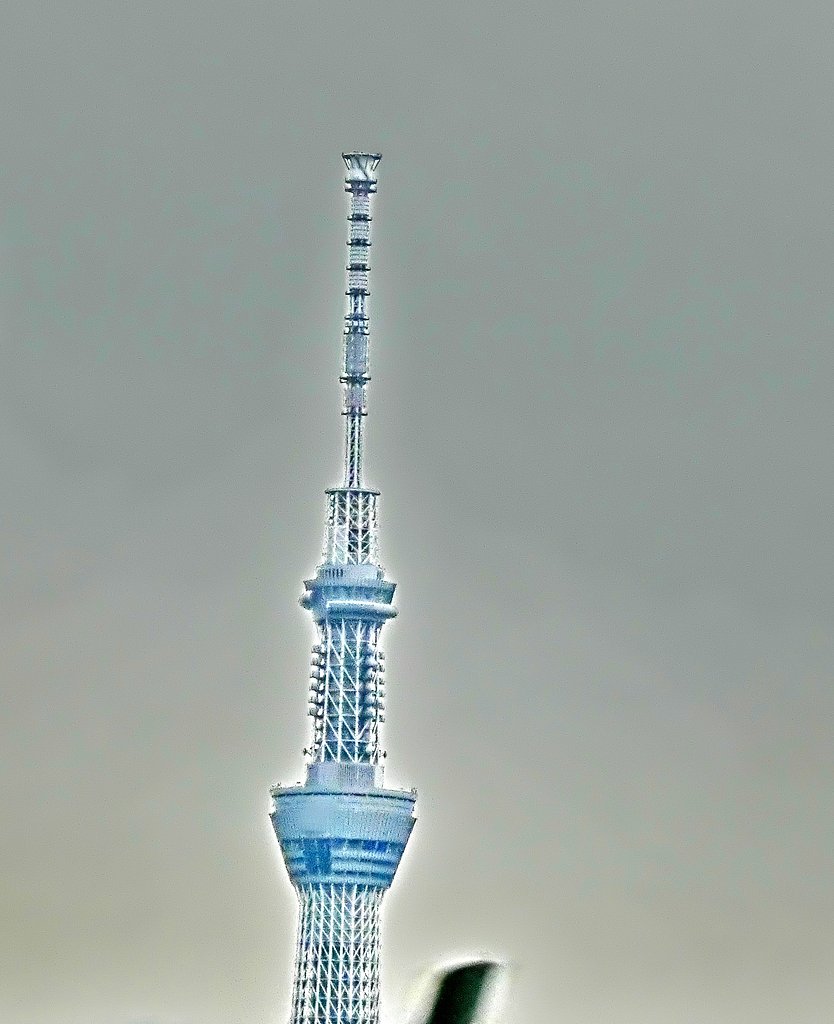 見えた見えたスカイツリー