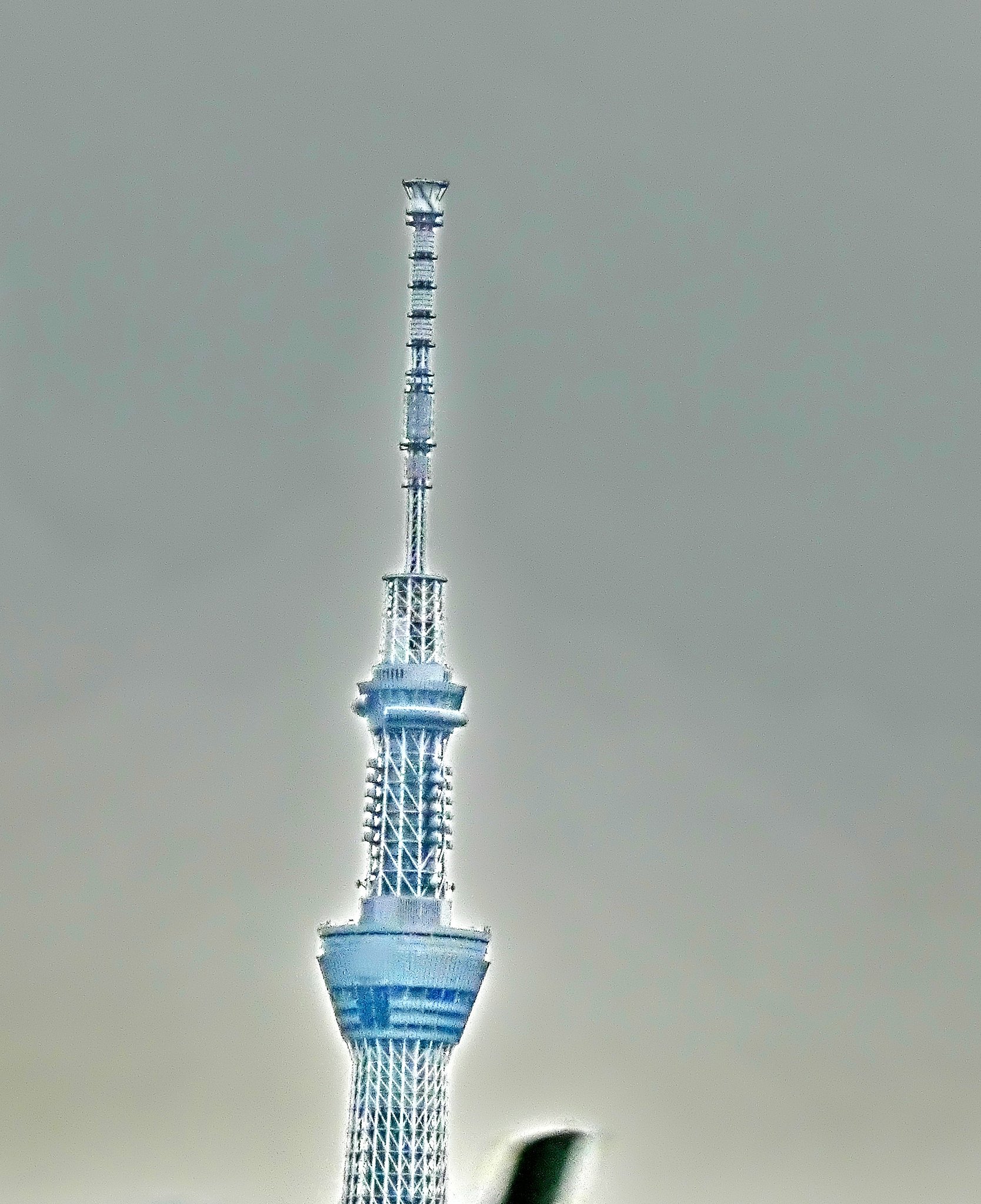 見えた見えたスカイツリー