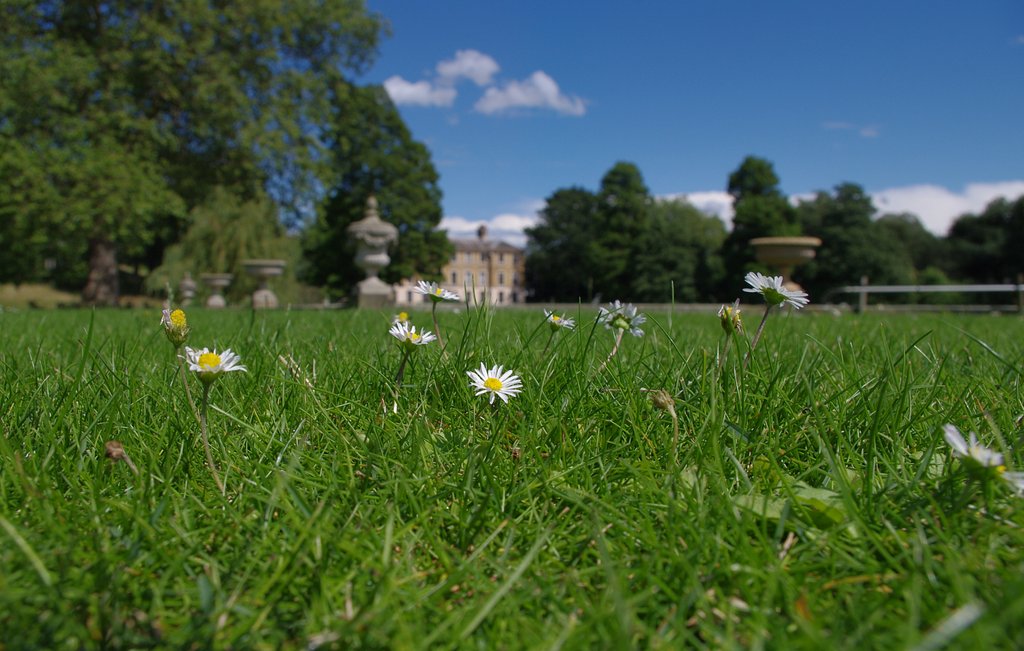 英国王立植物園にて