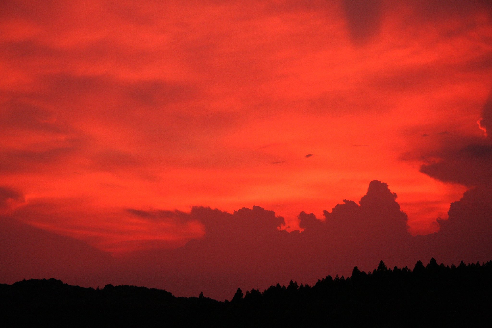 夏の夕焼け