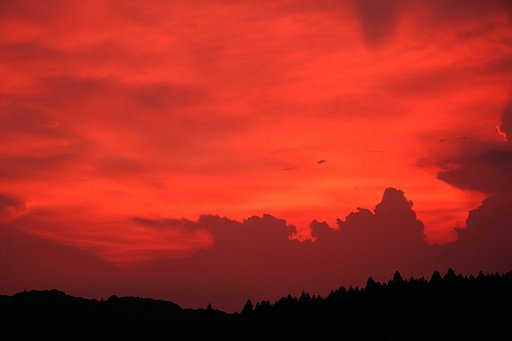 夏の夕焼け