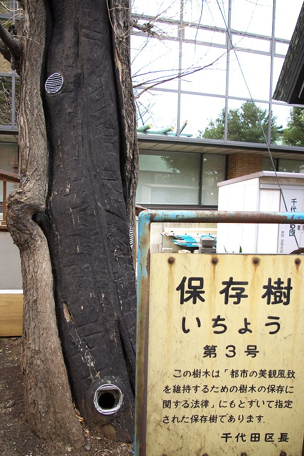 サイボーグ保存樹３号