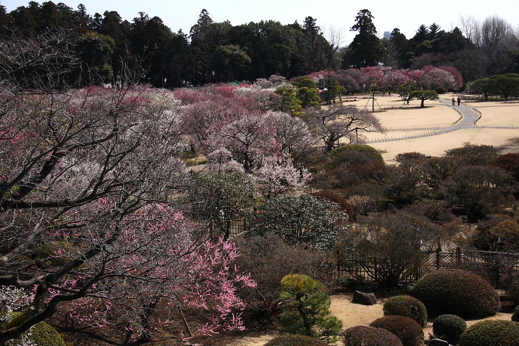 偕楽園