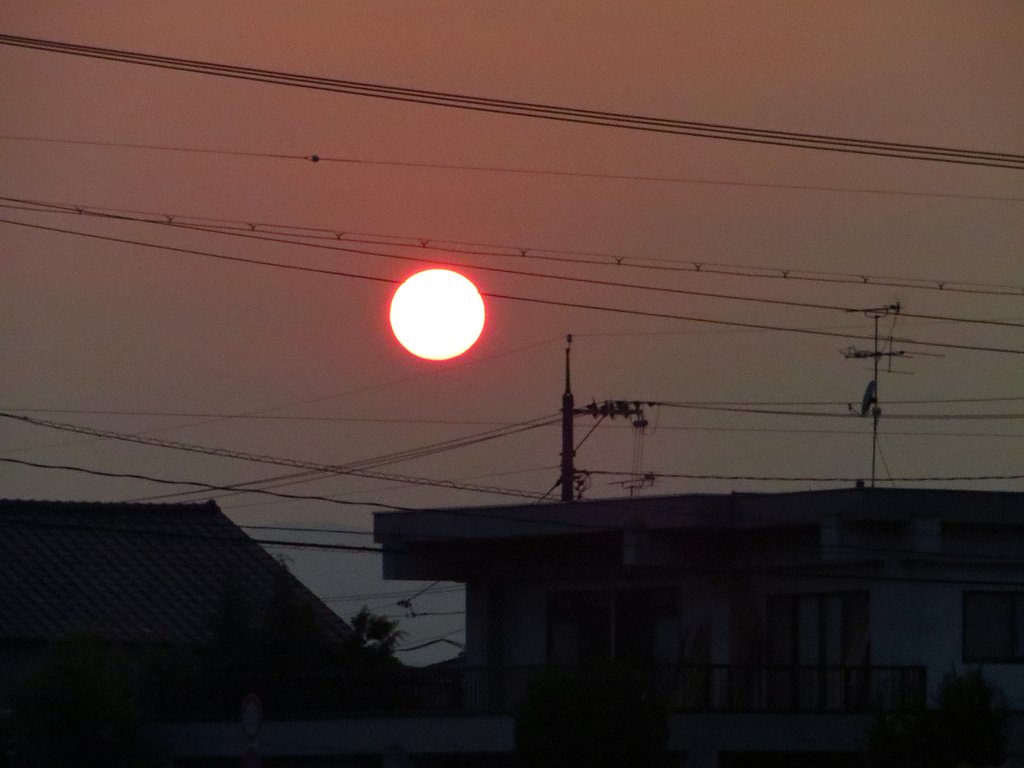 落陽試写