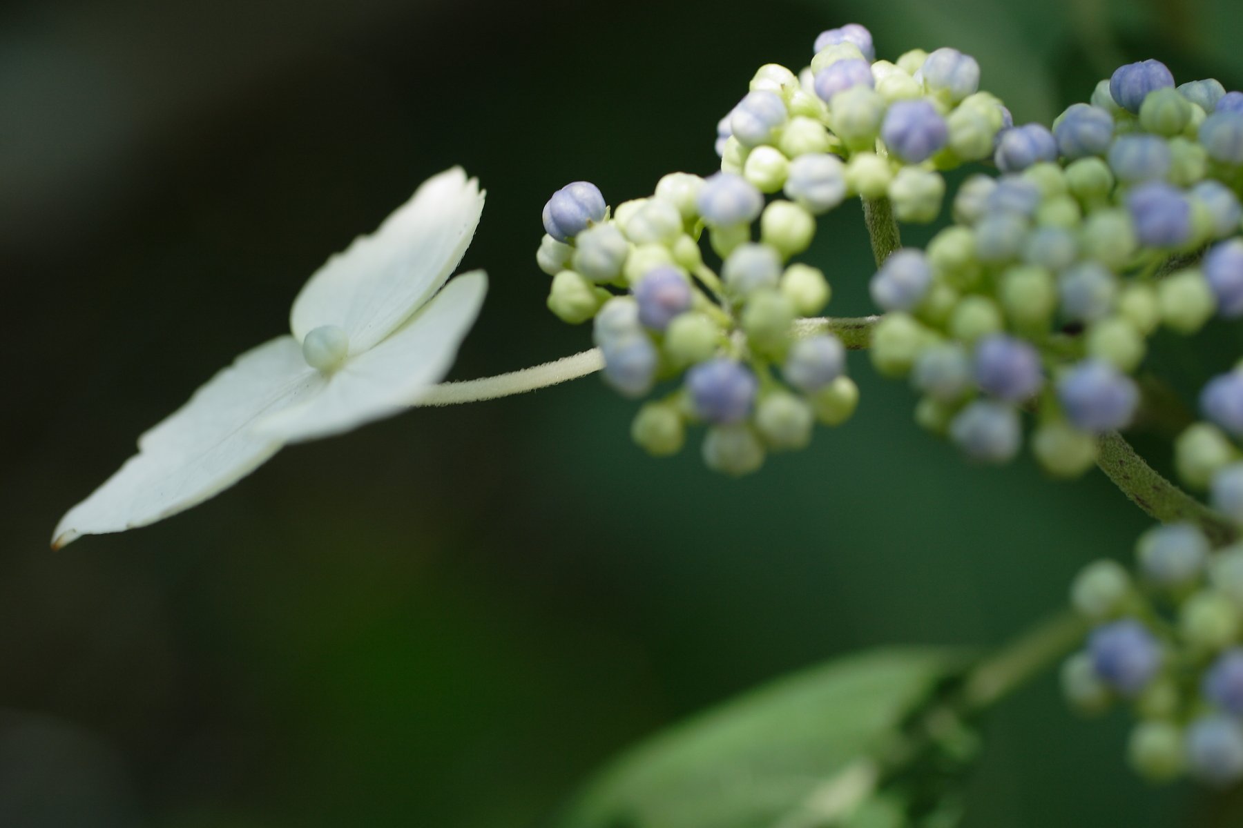 そろそろか・・・