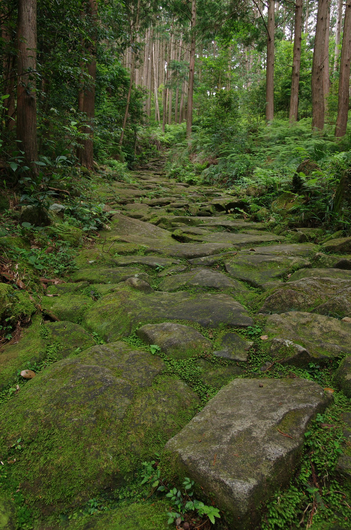 【四字熟語】熊野古道