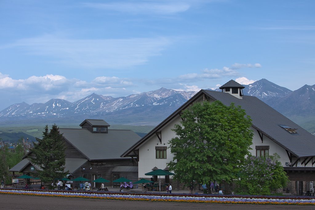 富良野・富田ファームより