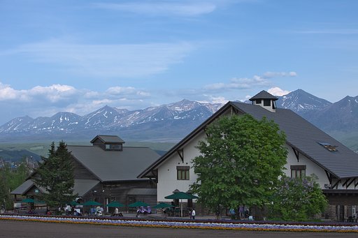 富良野・富田ファームより