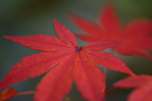 もうおわりですね