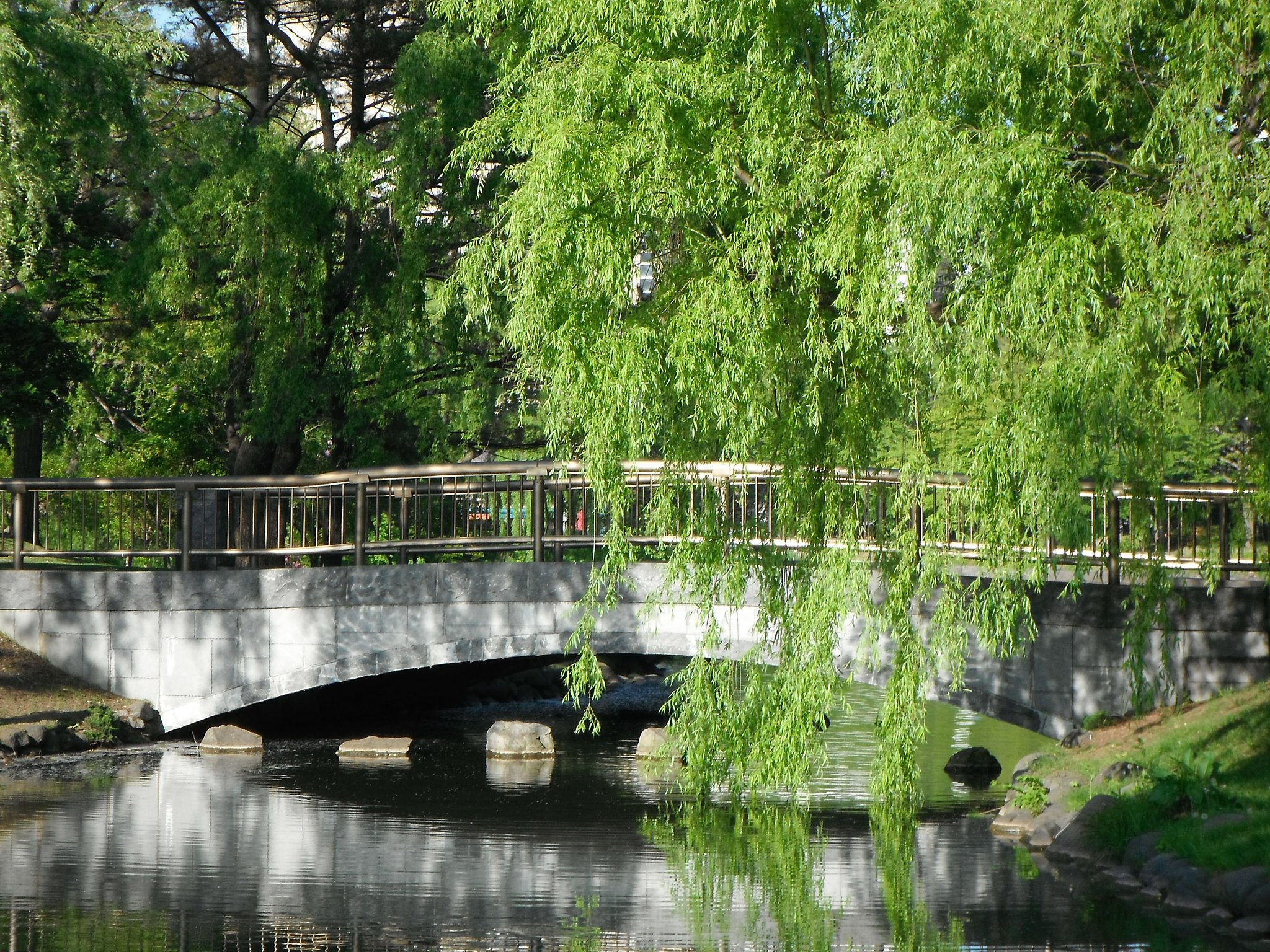 橋