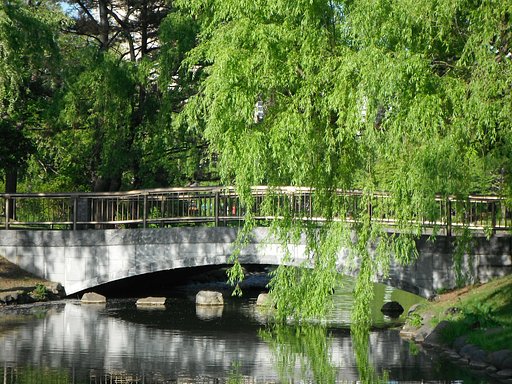 橋