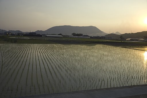 瀬戸の内海