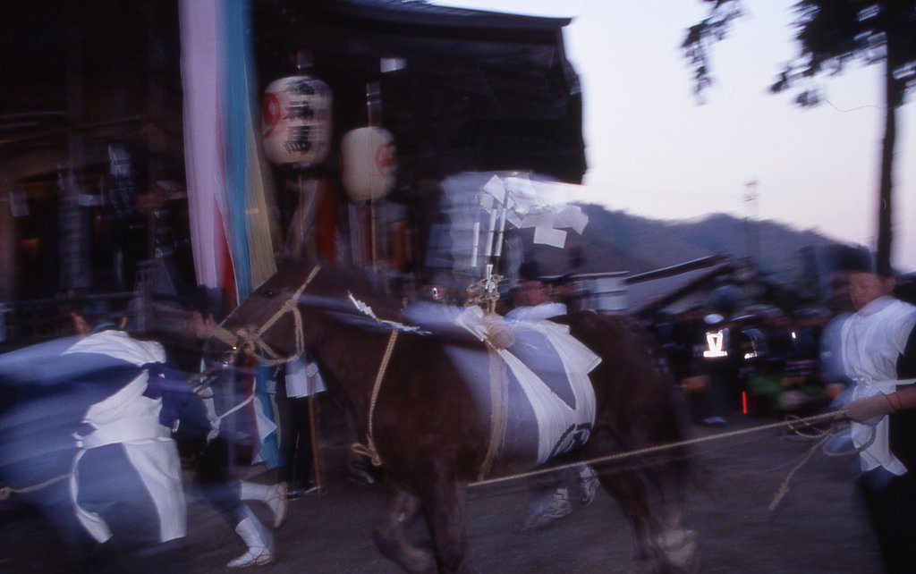 神馬がゆく