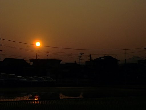 夕日