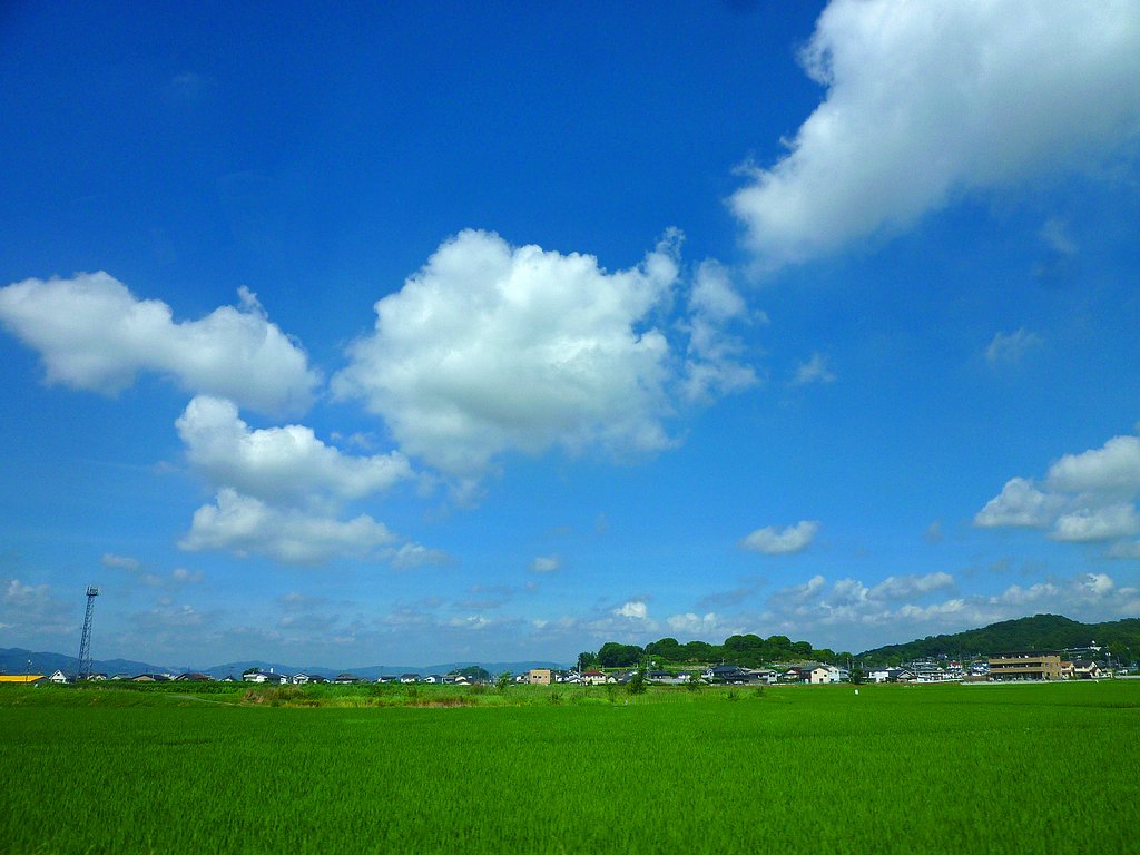 夏雲