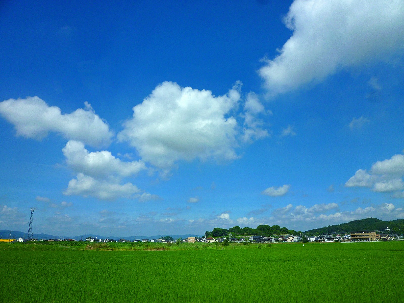 夏雲