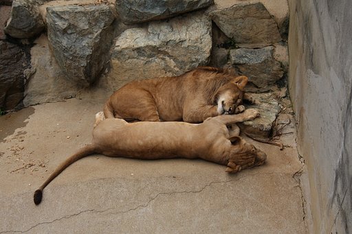 やすらぎ