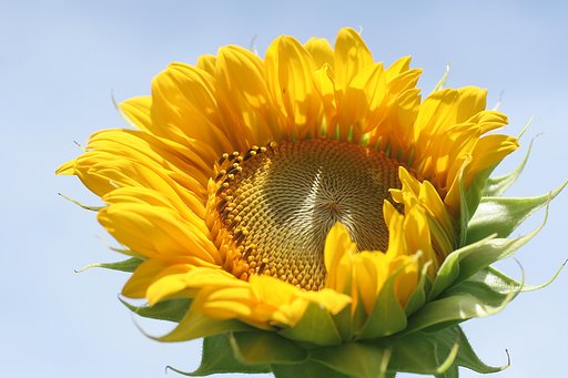 夏の風に吹かれて