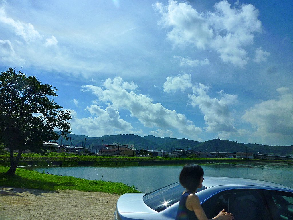夏来る