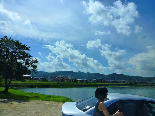 夏来る