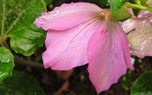 雨の中で