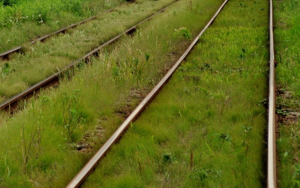 線路