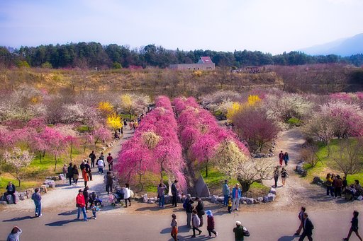いなべ市農業公園