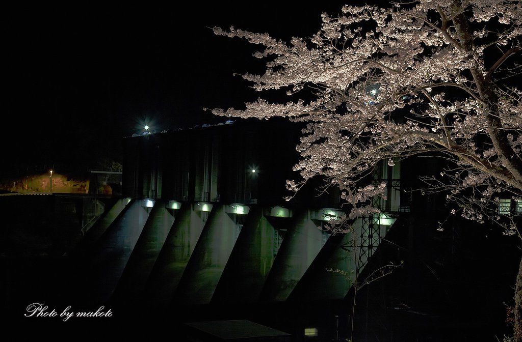 夜のダムにて