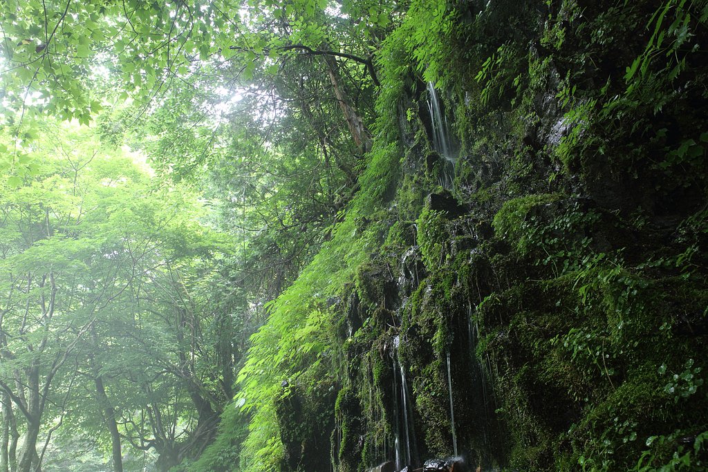 深山の息吹