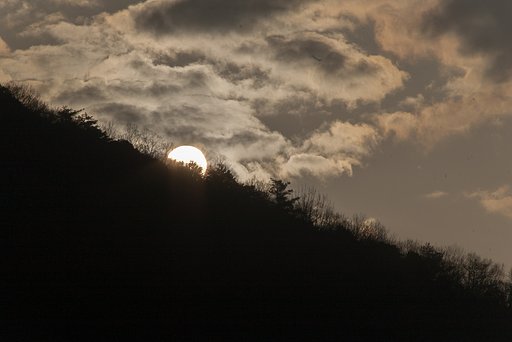 朝の太陽・・。