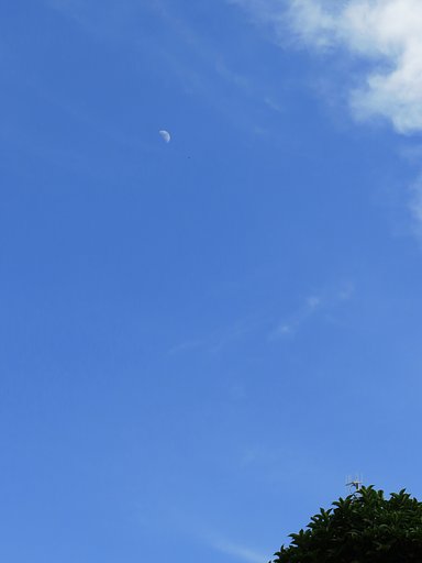 青空に浮かぶ月