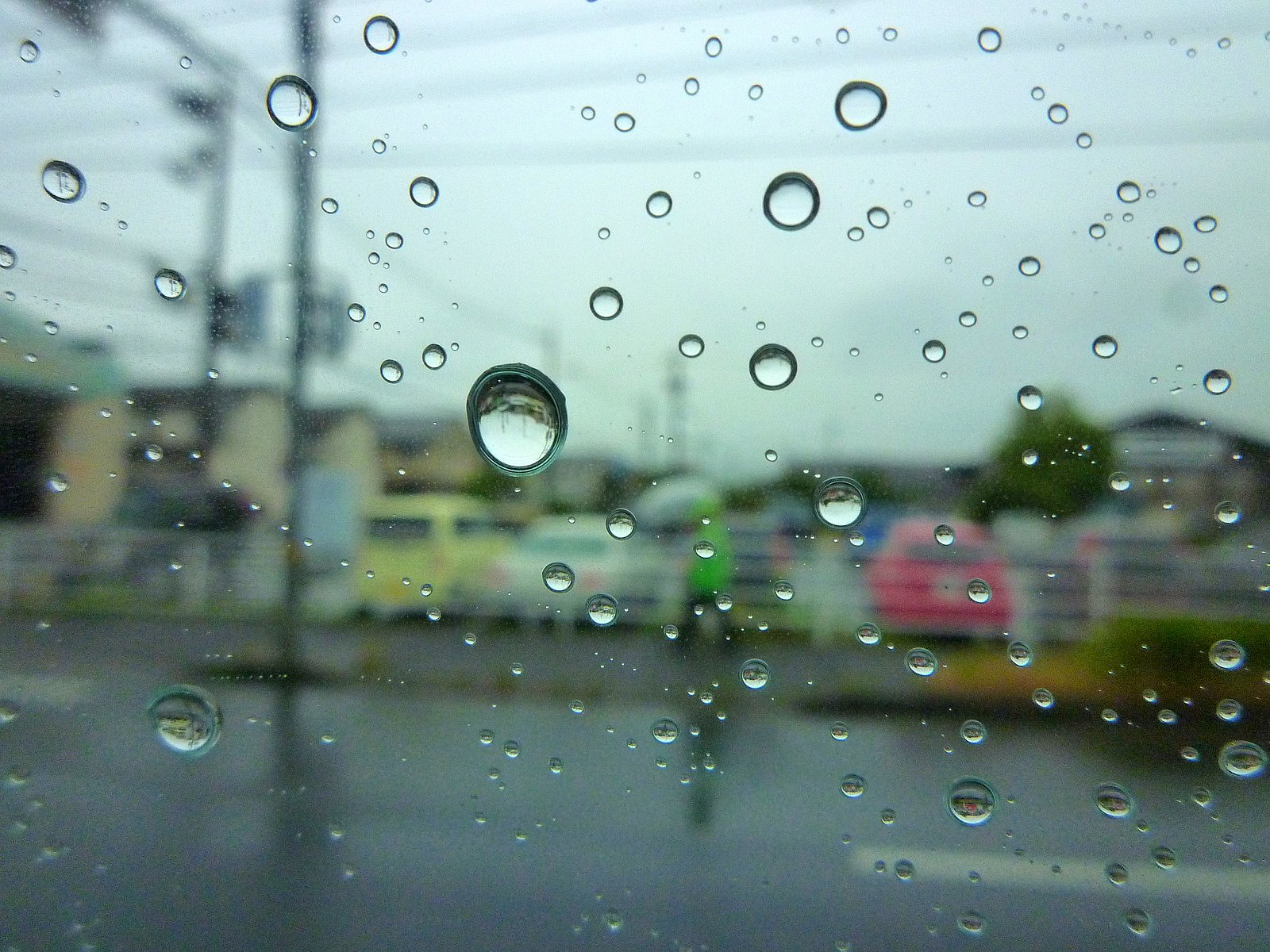 雨の日も