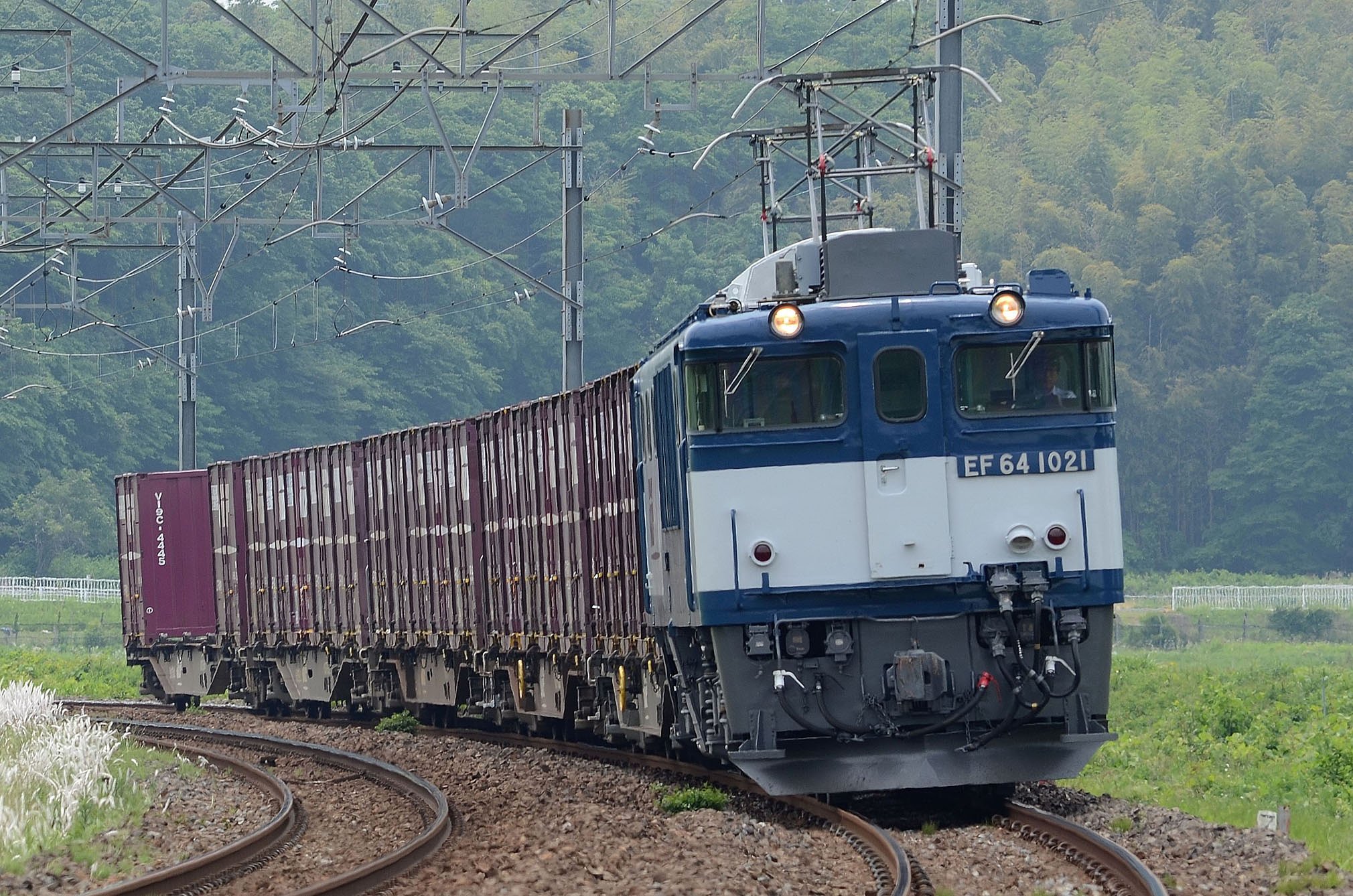 EF64型電気機関車