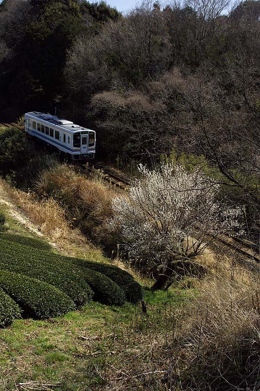 一山向こうの光景