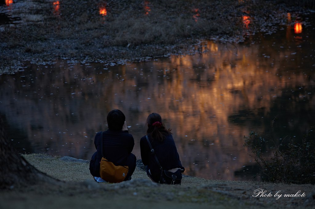 思い出の夜桜