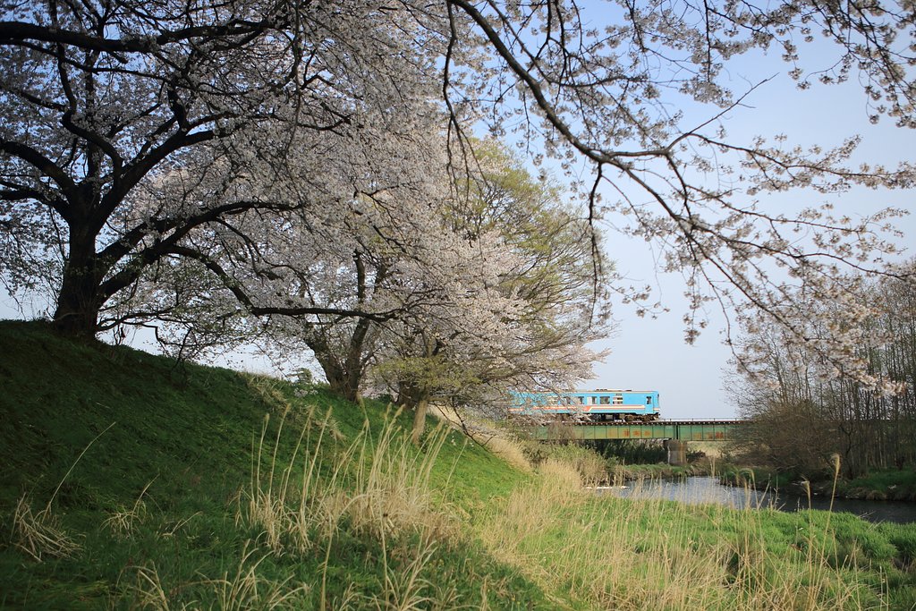 樽見鉄道　Ⅱ