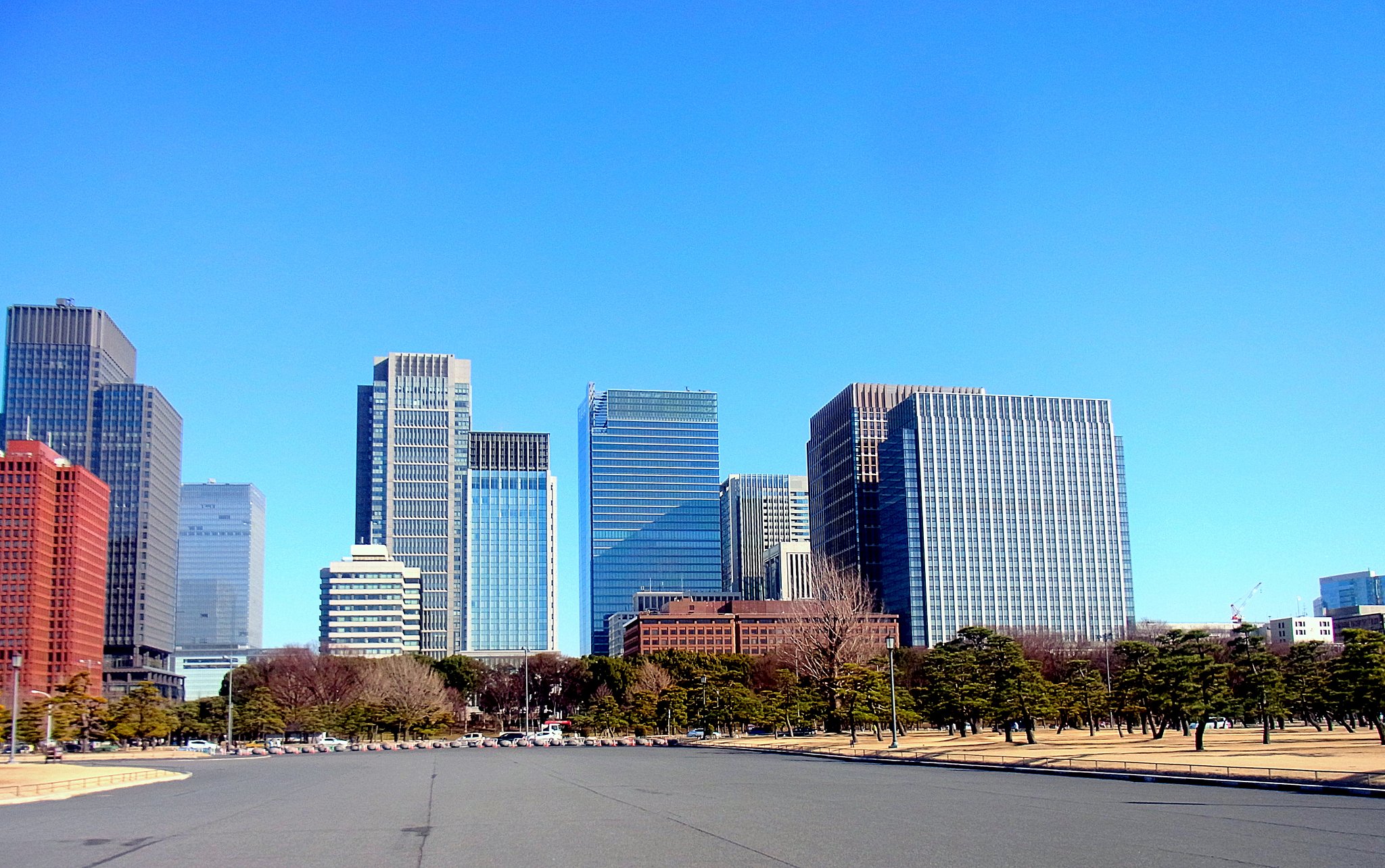 皇居前の広場から